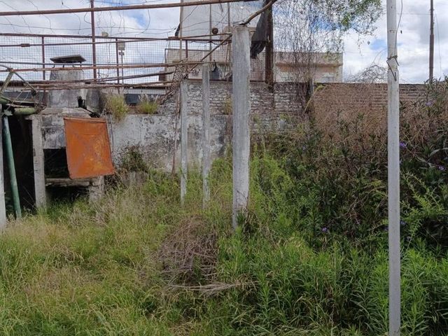 place photo 16