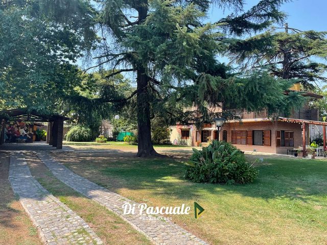 place photo 23
