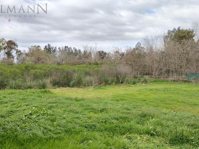 place photo 15