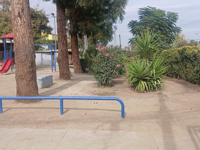 place photo 28