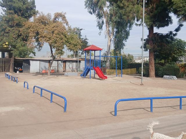 place photo 23