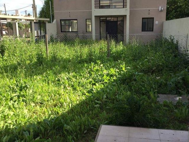 place photo 36