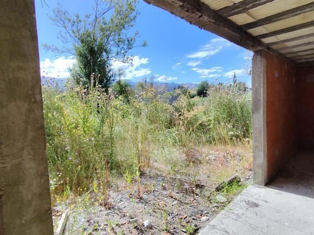 place photo 60
