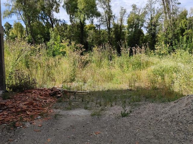 place photo 64