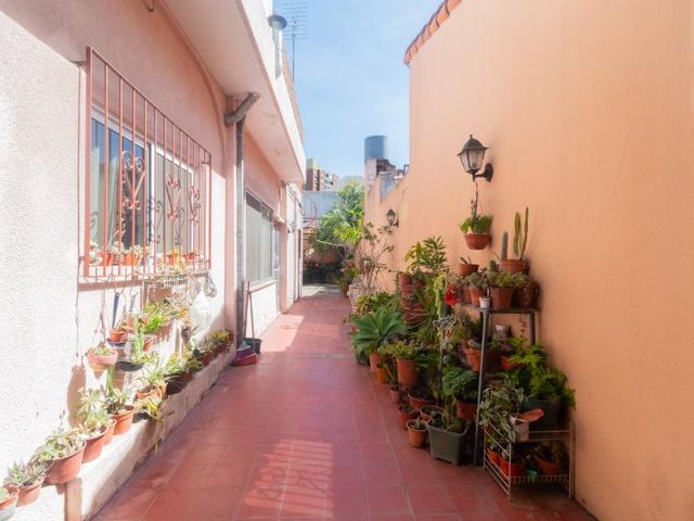 place photo 33