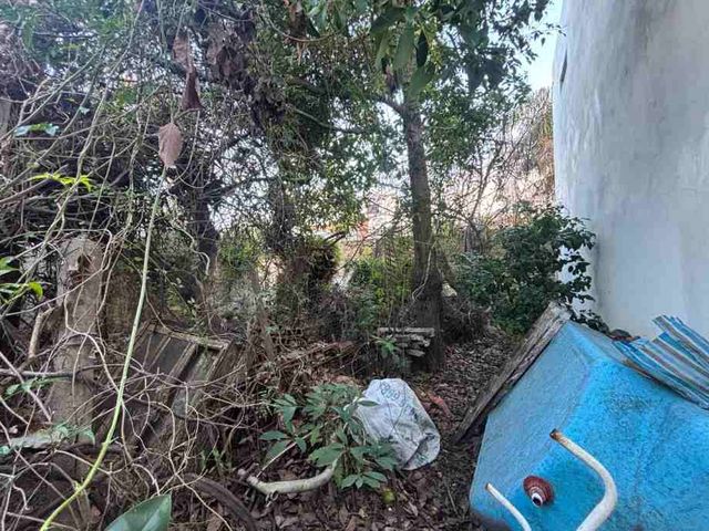 place photo 41