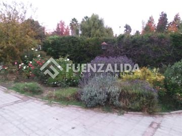 place photo 8