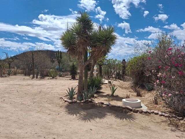place photo 6