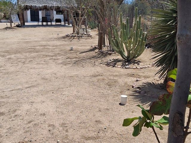 place photo 37