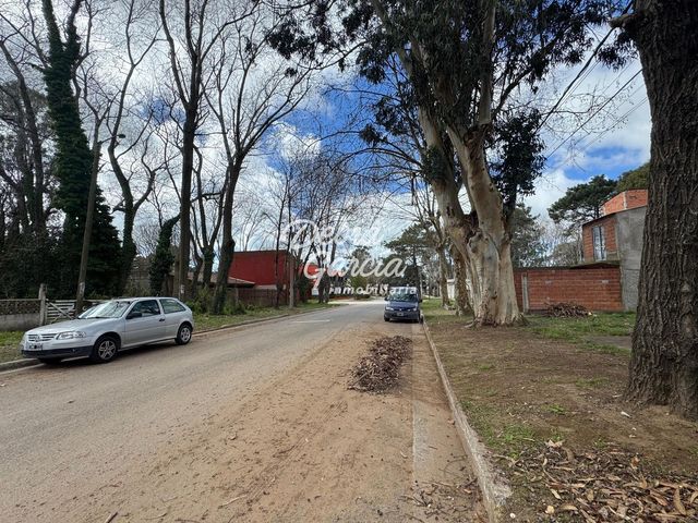 place photo 27
