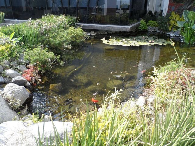 place photo 42