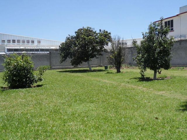 place photo 4