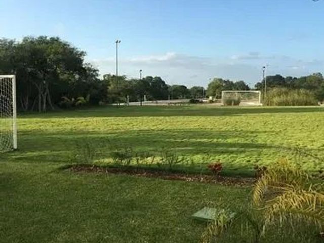 place photo 37