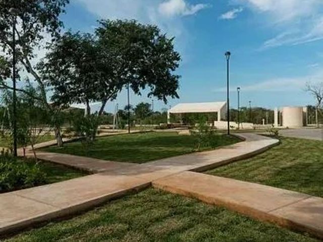 place photo 39