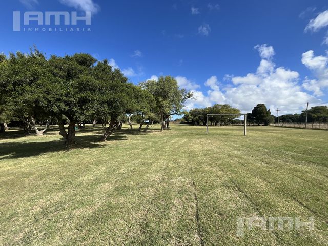 place photo 26