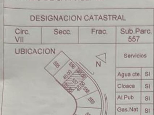 place photo 24
