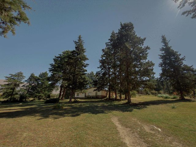place photo 36