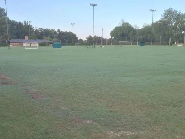 place photo 26