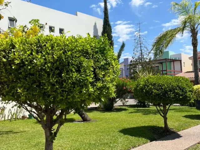place photo 15