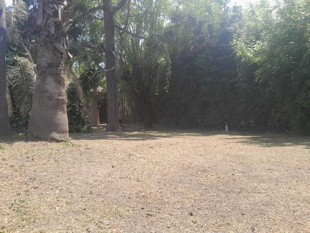 place photo 27