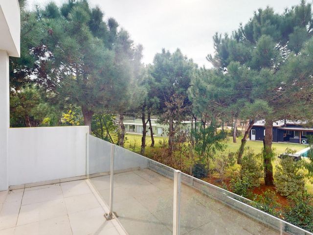 place photo 52