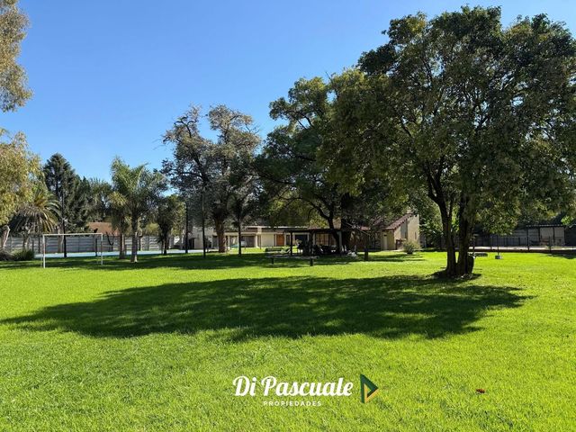 place photo 28