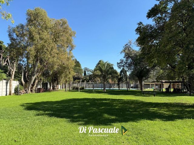 place photo 27