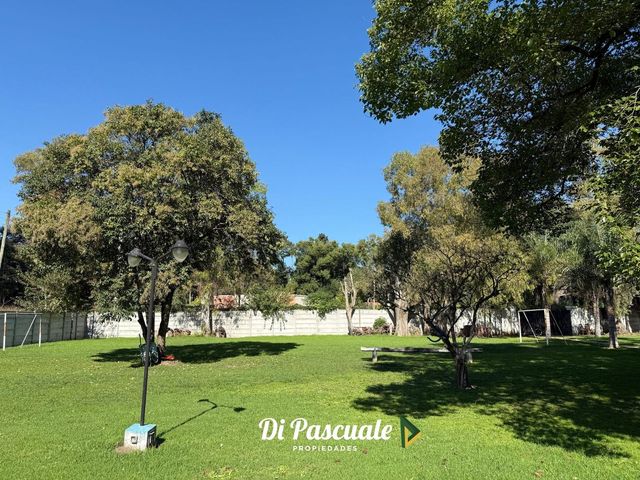 place photo 26