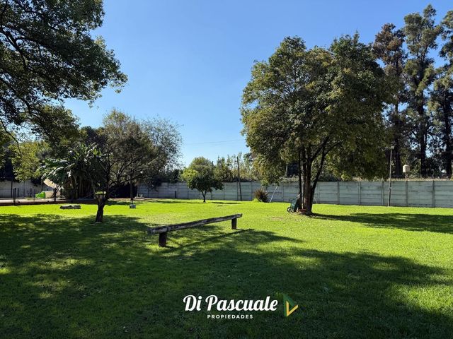 place photo 22
