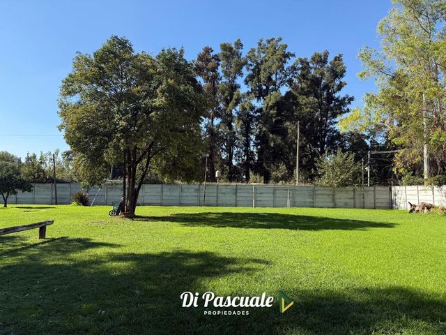 place photo 23
