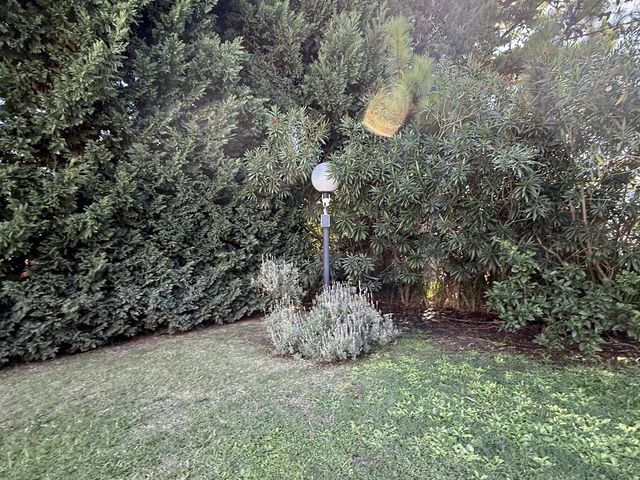 place photo 43