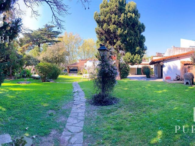 place photo 34