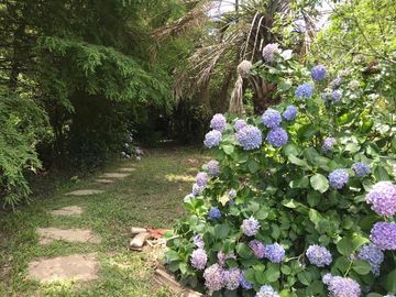 place photo 26
