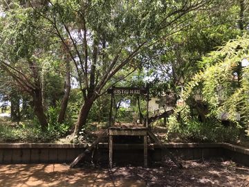 place photo 27