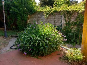 place photo 22