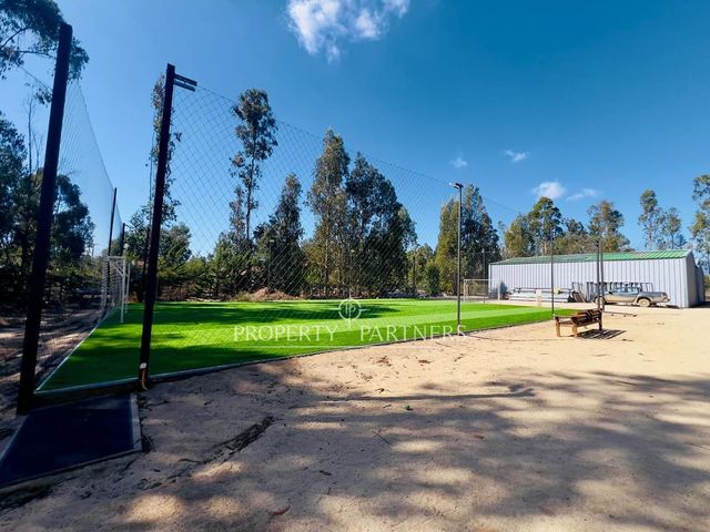 place photo 27