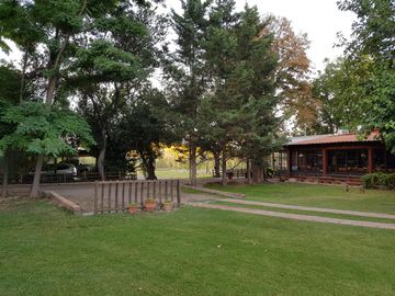 place photo 11