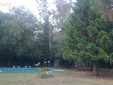 place photo 21