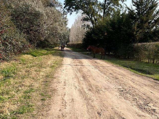 place photo 34