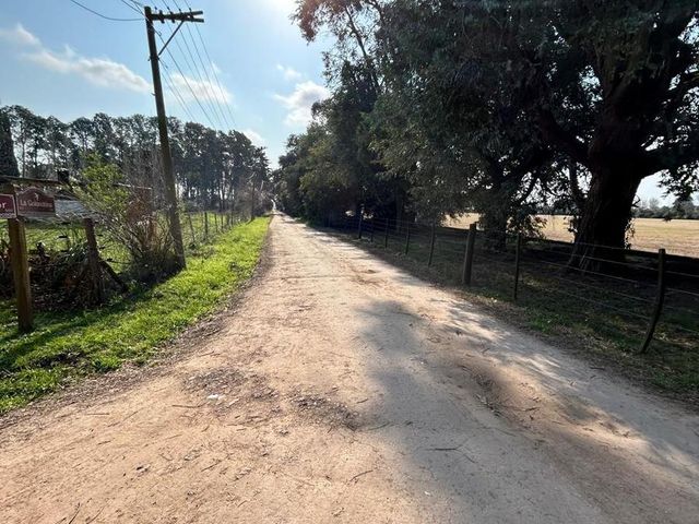 place photo 31
