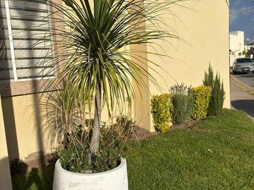 place photo 34