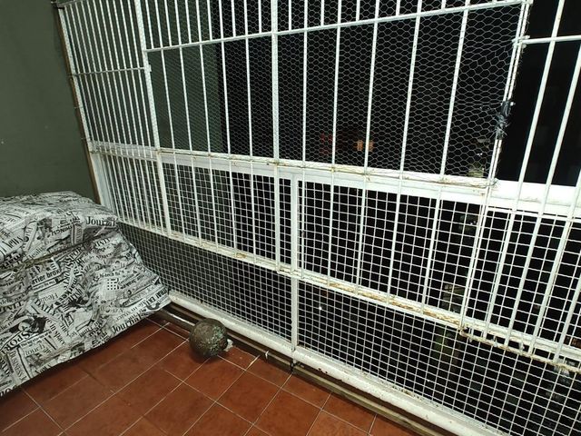 place photo 16