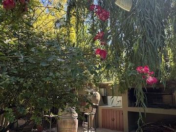 place photo 46