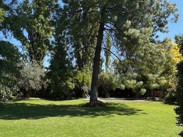 place photo 72