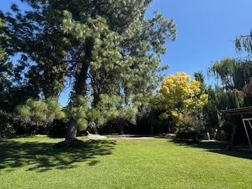 place photo 39