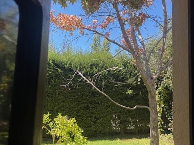 place photo 81