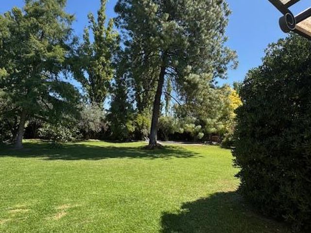 place photo 71
