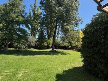 place photo 71