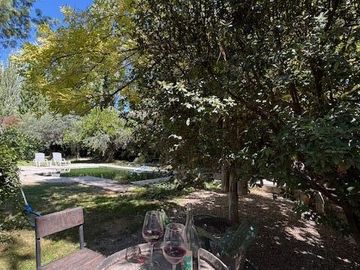 place photo 54