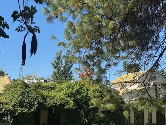place photo 51
